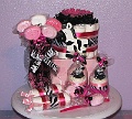 Pink-Zebra-Baby-Gifts