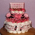 PinkBrown-Ladybug-Diaper-Cake